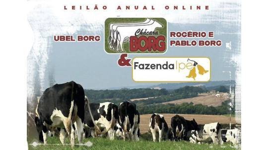 Vem aí o leilão anual online da Chácara Borg e Fazenda Ipê